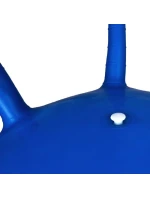 míč DK 2103 65 cm model 21155512 - PROfit