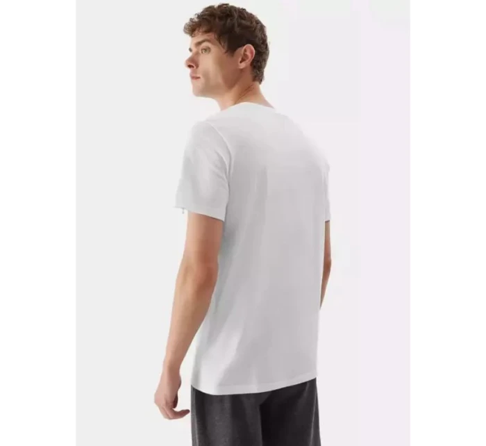 Tričko M model 21425007 pánské - 4F Tričko M model 21425007 pánské - 4F