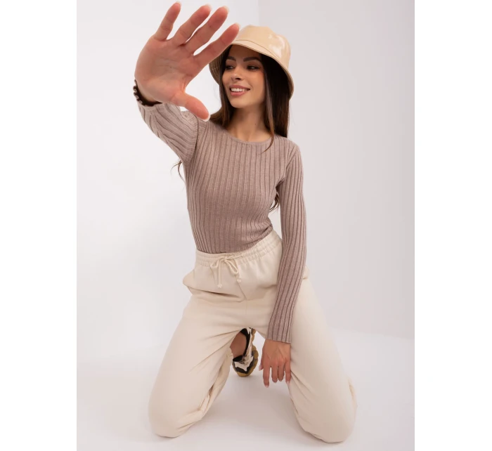 Sweter PM SW model 18909266 ciemny bezowy - FPrice