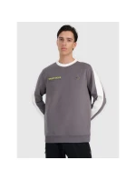 Pánská mikina s kapucí 4F 4FRAW25TSWSM2457-23S bez svetru Pánská mikina s kapucí 4F 4FRAW25TSWSM2457-23S bez svetru