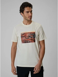 Tshirt regular z nadrukiem męski model 22551925 - 4F