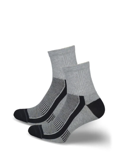 Pánské ponožky ACTIVE 0224.042