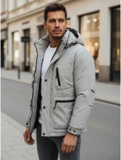 Pánská šedá zimní bunda s kapucí FashionStreet TX5107