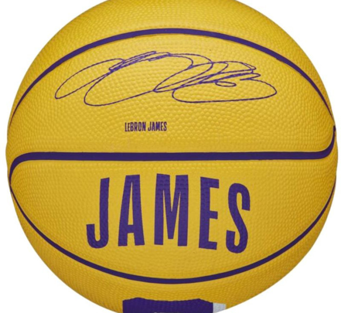 Basketbalový míč NBA Player Icon Stephen Curry Mini WZ4007401XB bílý - Wilson