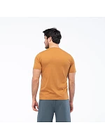 Pánské tričko s krátkým rukávem model 22349813 - Iguana