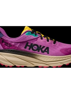 Dámské běžecké boty HOKA Challenger ATR 7 GTX Superbloom/Oatmeal (1134502F-SBLM)