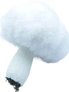 Ozdobný kolík 8x12 cm bílý