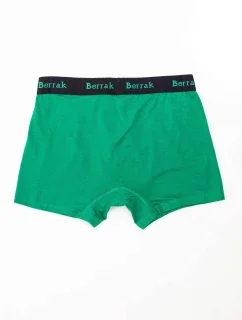 Boxerky BR BK model 14818745 zelená - FPrice