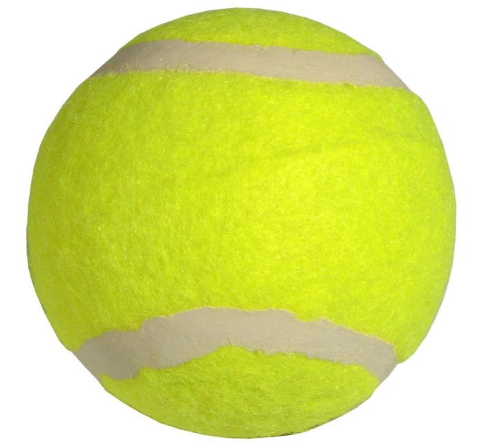 model 21825952 - Enero