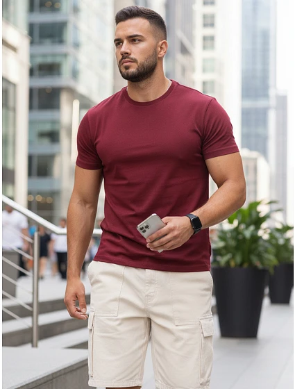 Pánské klasické vínové tričko FashionStreet RX5677