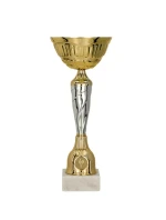 Zlatý a stříbrný kovový pohár