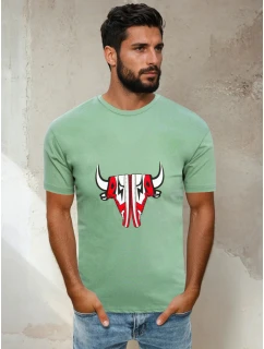 Pánské světle zelené tričko Dstreet model 21965073 - FashionStreet