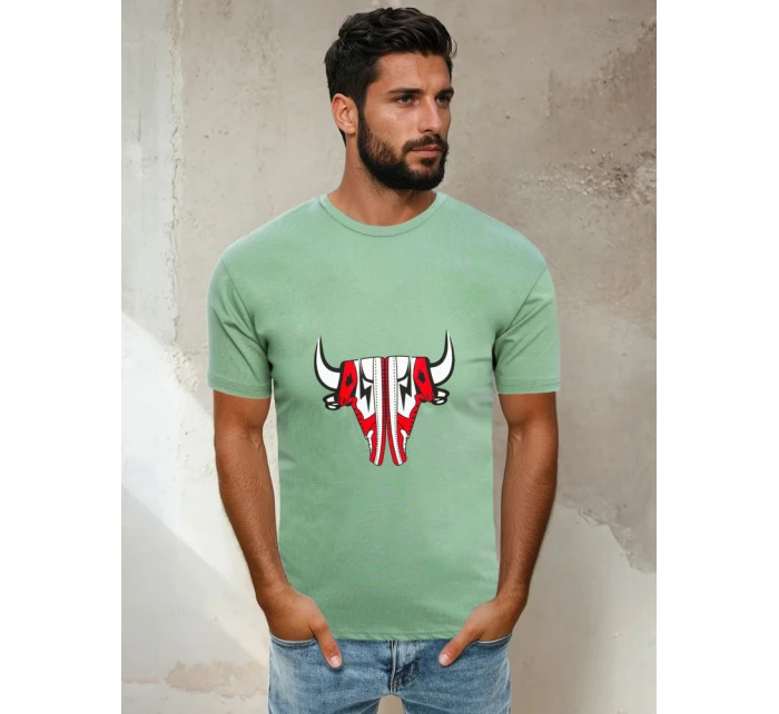 Pánské světle zelené tričko Dstreet model 21965073 - FashionStreet