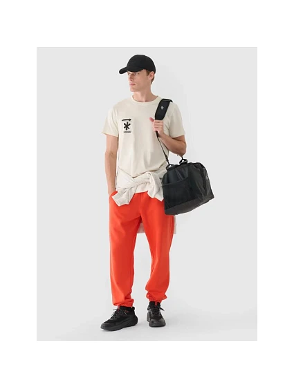 Pánské tepláky typu jogger model 21433039 - 4F