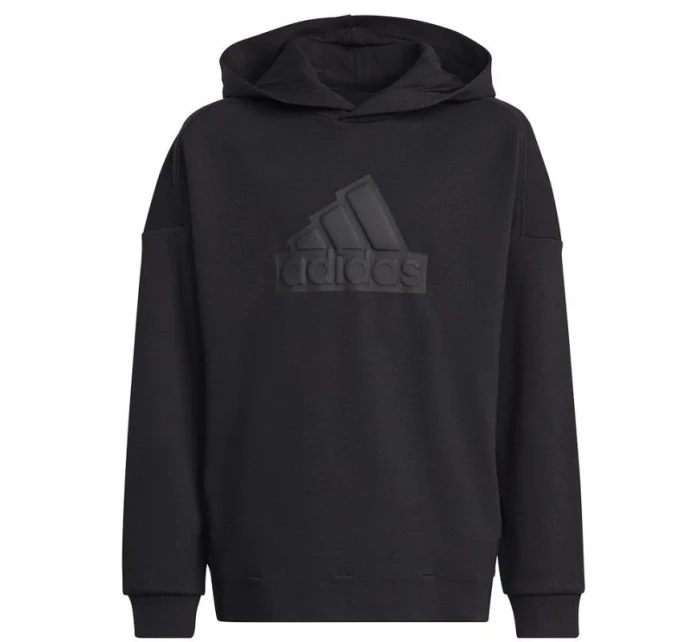 Mikina adidas FI Logo HD Jr HR6301 Mikina adidas FI Logo HD Jr HR6301