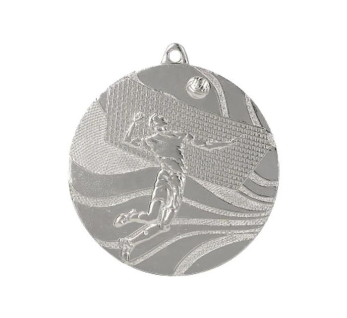 medal model 21829761