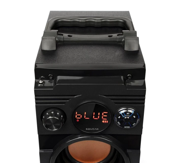 BLUETOOTH FM model 21861633