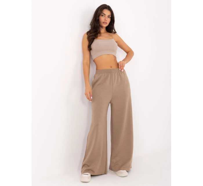 Spodnie IT SP model 21389022 ciemny bezowy - FPrice