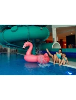 Strój kąpielowy AquaWave Salava Wmns W 92800498804