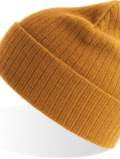 Rio Pletená čepice  mustard model 22479432 - Atlantis Headwear