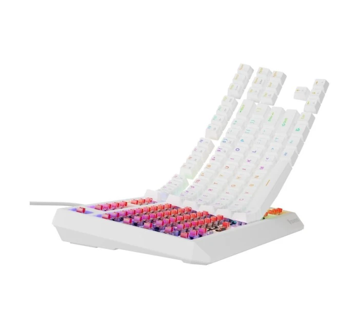model 21716571 230 TKL Herní klávesnice USB QWERTY US English White - Genesis model 21716571 230 TKL Herní klávesnice USB QWERTY US English White - Genesis