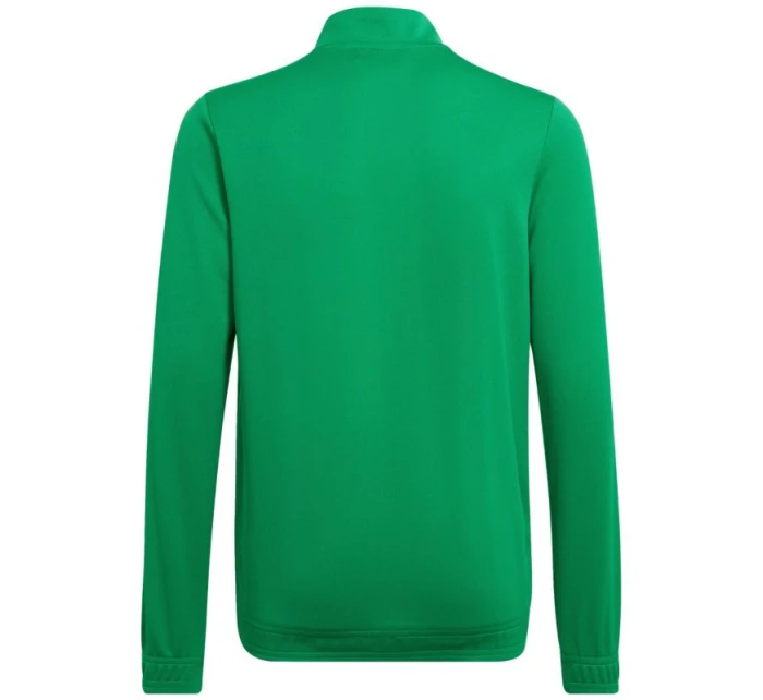 Entrada 22 Jr dětská mikina HI2138 - Adidas