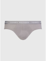 Pánské sáčky na tělo 3P BRIEF UM0UM022060TG - Tommy Hilfiger