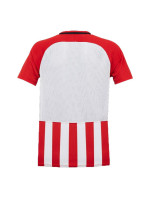 Dětské fotbalové tričko Striped Division Jr model 16056244 - NIKE