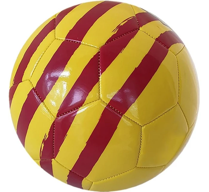 FC Barcelona Catalunya fotbal 373111 FC Barcelona Catalunya fotbal 373111