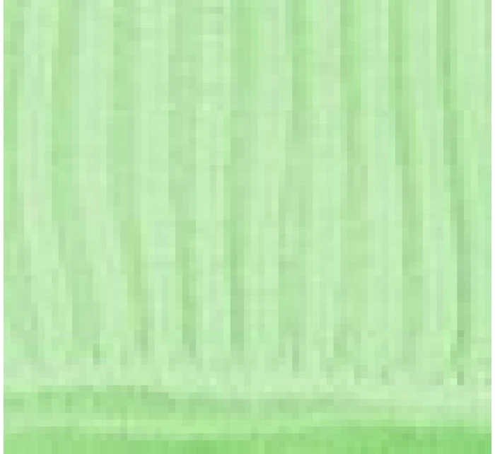 dámské ponožky krátké model 21222384 - CERBER