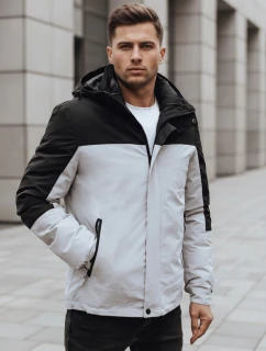 Pánská šedá zimní bunda s kapucí FashionStreet TX4900