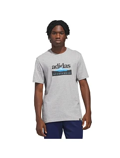 Pánské tričko adidas Sportsman Mountain Graphic T-shirt light grey KC9253 pánské
