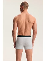 Pánské boxerky balení po 2  AW26 model 22345654 - Henderson
