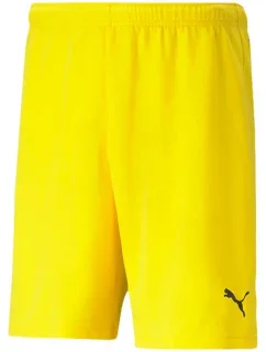 Pánské šortky teamRISE M 07  model 16082281 - Puma