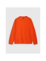 Pánská mikina s kapucí model 21436687 pánské - 4F Pánská mikina s kapucí model 21436687 pánské - 4F