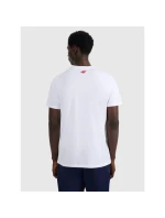 Pánské tričko s potiskem model 21816893 - 4F Pánské tričko s potiskem model 21816893 - 4F