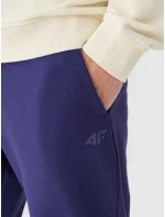 Pánské tepláky 4F Pánské tepláky 4F