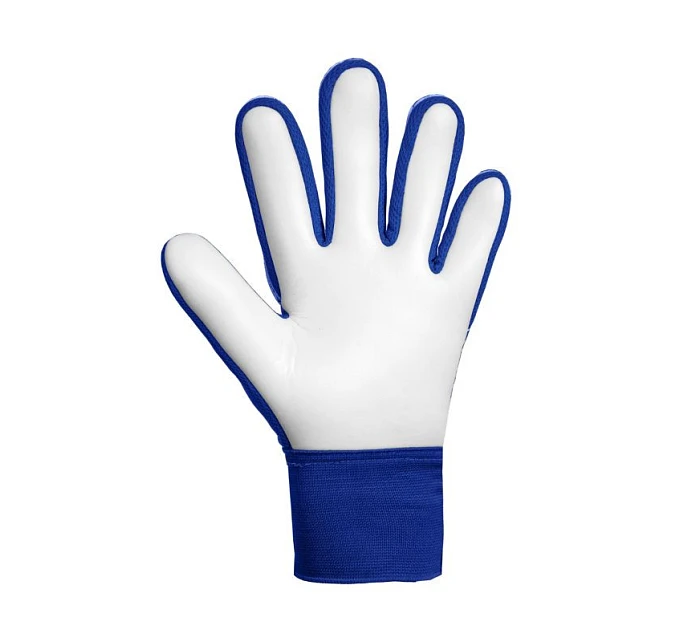 Reusch Attrakt Solid Junior brankářské rukavice modré model 22097009 - Starter Reusch Attrakt Solid Junior brankářské rukavice modré model 22097009 - Starter