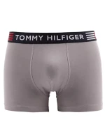 Flex Trunk UM0UM02411-PTM - Tommy Hilfiger