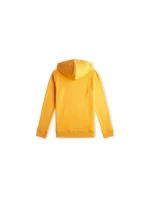 Mikina O'Neill Logo Hoodie Jr model 20080454 - ONeill