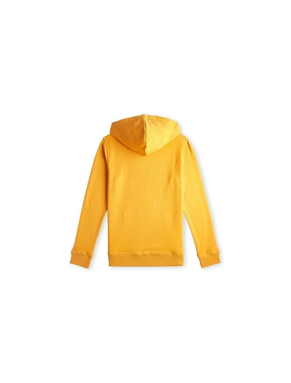 Mikina O'Neill Logo Hoodie Jr model 20080454 - ONeill