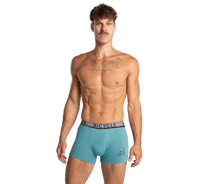 PÁNSKÉ ŠORTKY M-1064SZG 2-PACK