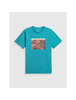 Tshirt regular z nadrukiem męski model 22551931 - 4F Tshirt regular z nadrukiem męski model 22551931 - 4F