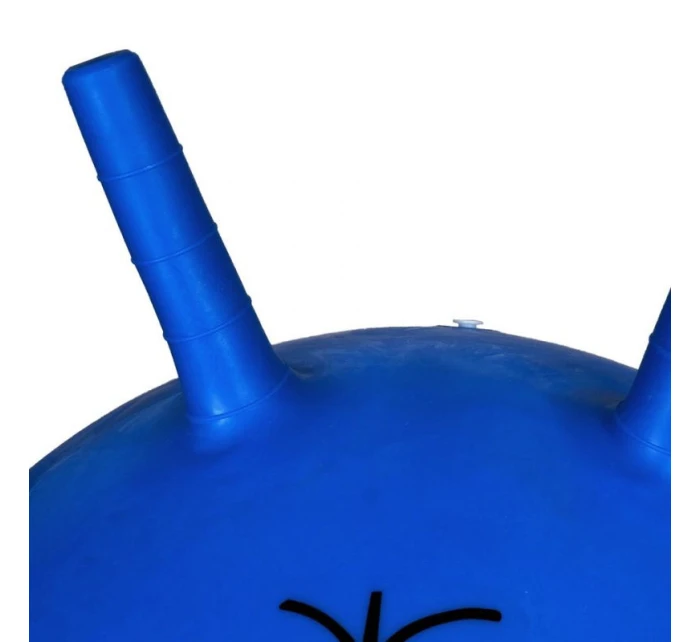 míč DK 2103 65 cm model 21155512 - PROfit