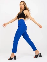 Kalhoty BR SP 219.71 kobalt