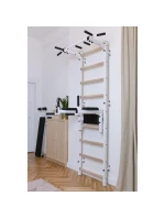 GYMNASTICKÝ ŽEBŘÍK S TYČÍ A MADLEM PRO CVIČENÍ NA LAVIČCE 722W