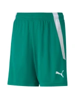 Puma teamLIGA Shorts Jr 704931 05