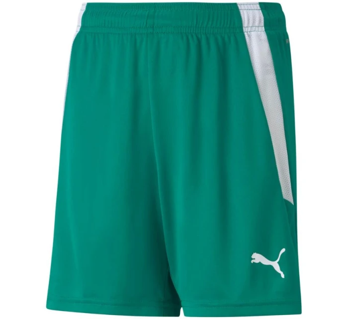 Puma teamLIGA Shorts Jr 704931 05