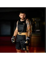 Boxerské tričko model 21438651 GOLD - DBX Bushido