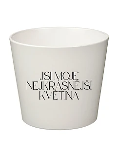 JSI MOJE NEJKRÁSNĚJŠÍ KVĚTINA - velký květináč 